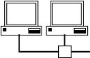 What are local and global computer networks?